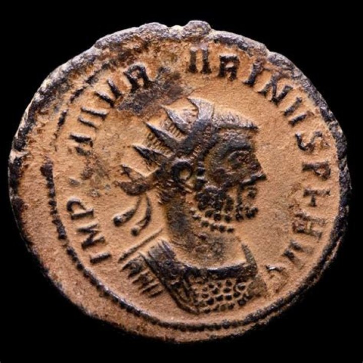 Carinus