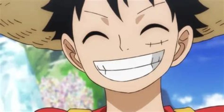 Luffy's family in One Piece, comprised of Monkey D. Dragon and Monkey D. Garp