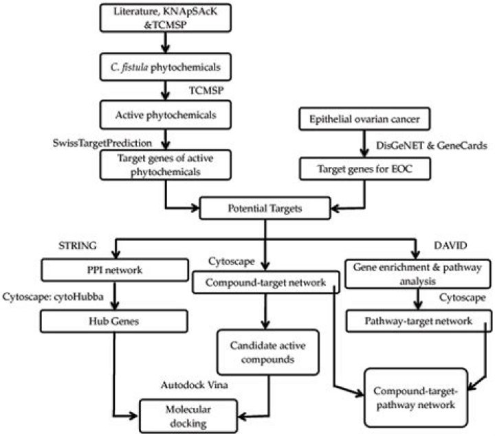 Molecular Techniques Help Identify Ovarian Cancer Recurrence