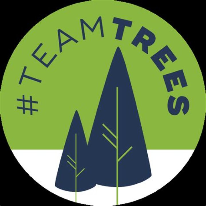 MrBeast - Team Tree