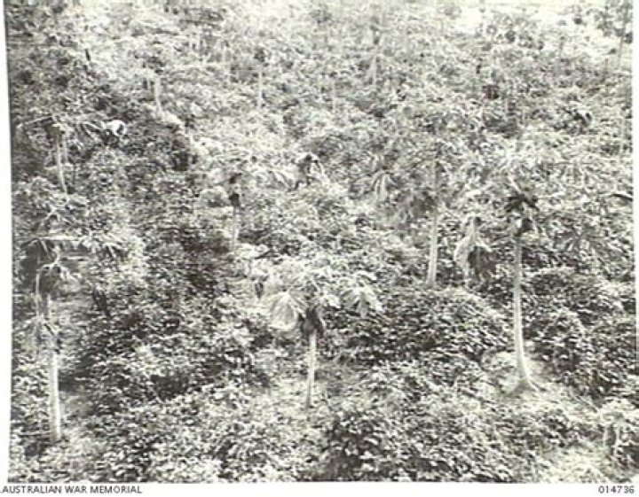 Poona Ford contract, salary and net worth explored 1 poona crop north