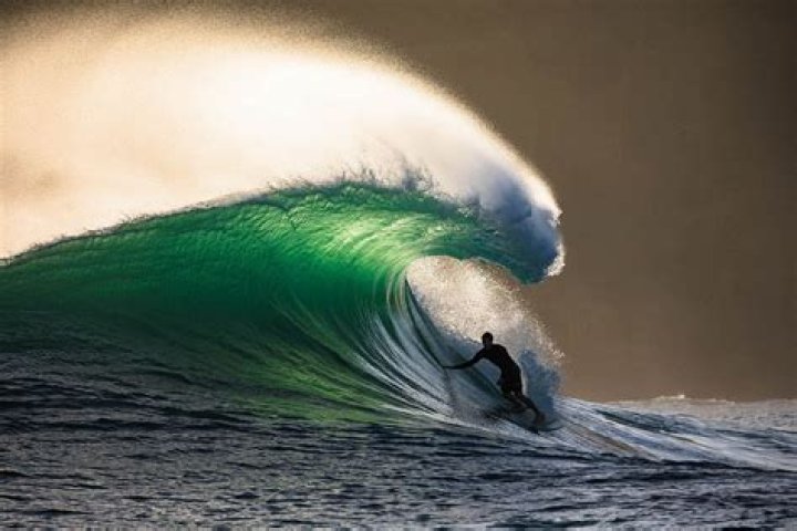 SURFER