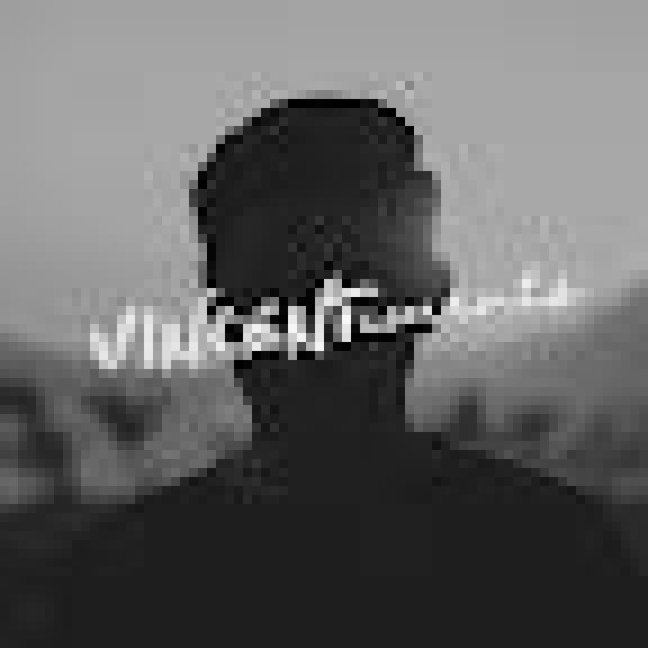 VinCentiments [OFFICIAL]